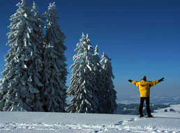 Kontakt zur Skischule Mittelberg