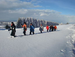 Schneeschuhverleih, Schneeschuhwandern, Schneeschuhf&uuml;hrungen in Oy-Mittelberg und Allg&auml;u