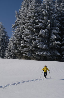Schneeschuhverleih, Schneeschuhwandern, Schneeschuhf&uuml;hrungen in Oy-Mittelberg und Allg&auml;u