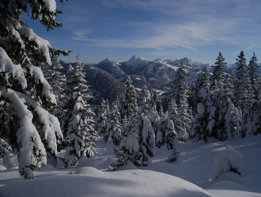 Herzlich willkommen in der Skischule Mittelberg-Oy - klein, fein und famili&auml;r !
