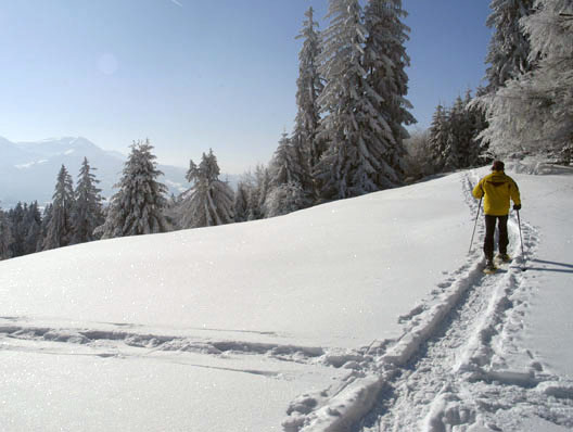 Herzlich willkommen in der Skischule Mittelberg-Oy - klein, fein und famili&auml;r !