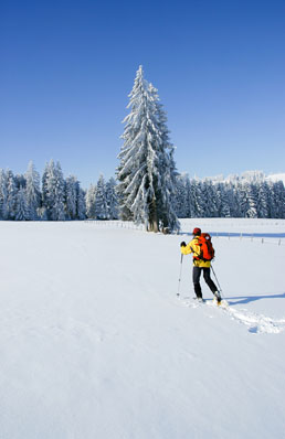 Schneeschuhverleih, Schneeschuhwandern, Schneeschuhführungen in Oy-Mittelberg und Allgäu