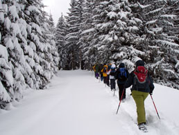 Schneeschuhverleih, Schneeschuhwandern, Schneeschuhführungen in Oy-Mittelberg und Allgäu