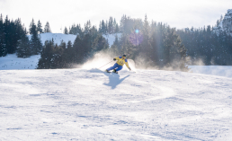 Alpinskikurse, Alpinskiverleih, Carving, Privatunterricht in Oy-Mittelberg und Allgäu