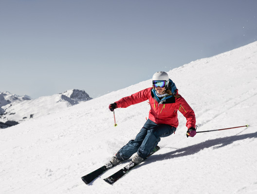 Herzlich willkommen in der Skischule Mittelberg-Oy - klein, fein und familiär !